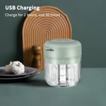 Mini Electric Meat Grinder