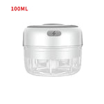 Mini Electric Meat Grinder