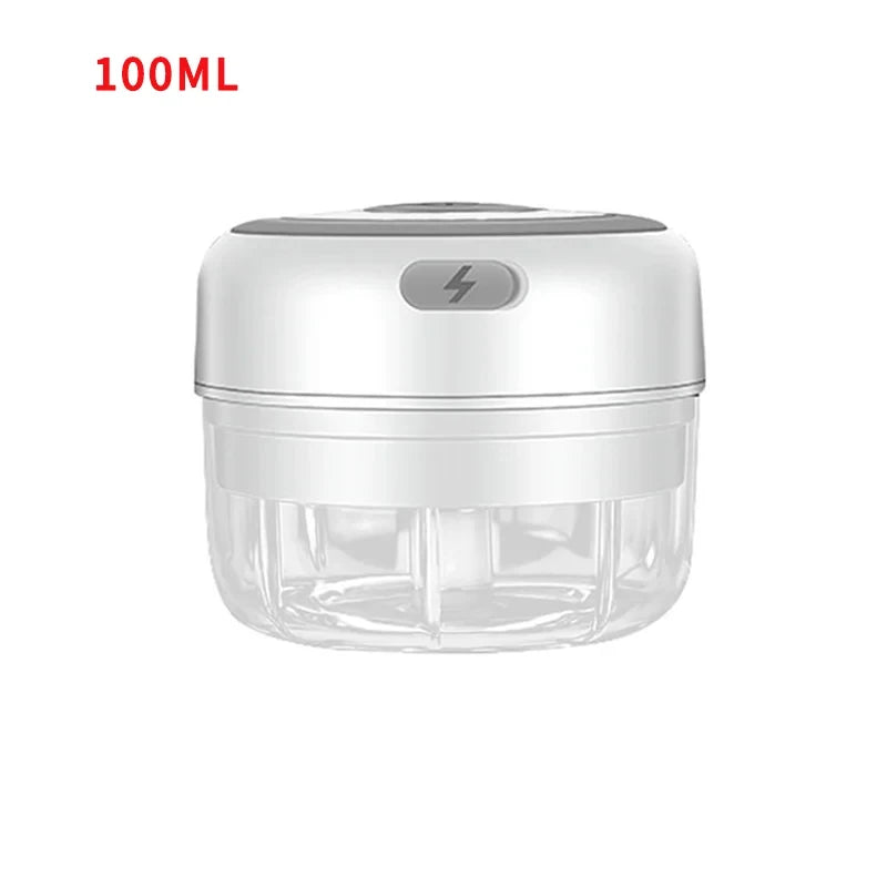 Mini Electric Meat Grinder