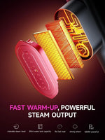Drflash Portable Garment Steamer and Iron