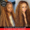 Highlight Ombre Deep Curly Human Hair Wig