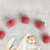 Interactive Rolling Cat Toy