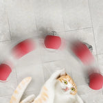 Interactive Rolling Cat Toy