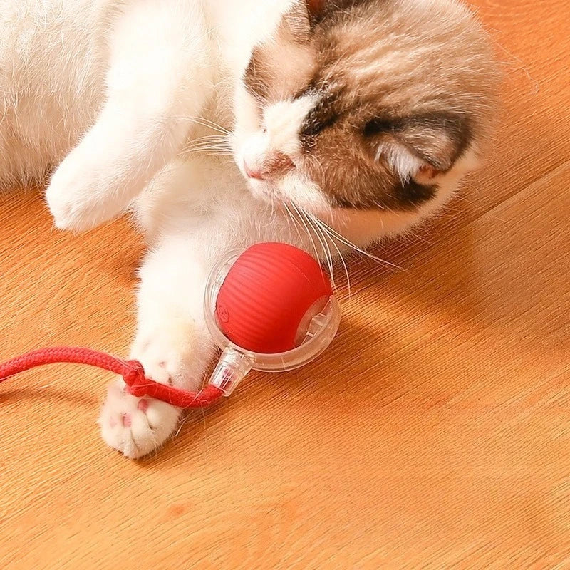 Interactive Rolling Cat Toy