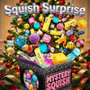 Sensory Squishy Blind Box