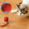 Interactive Rolling Cat Toy