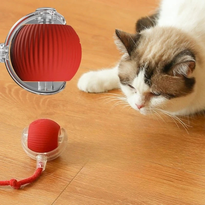 Interactive Rolling Cat Toy