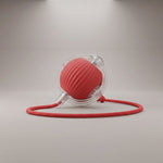 Interactive Rolling Cat Toy